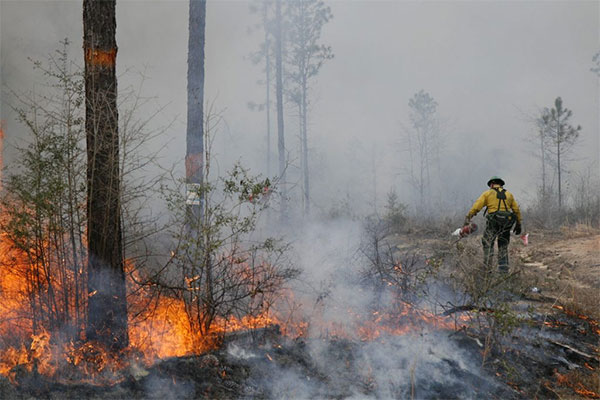 Bomba de agua de alta presión para sistemas contra incendios