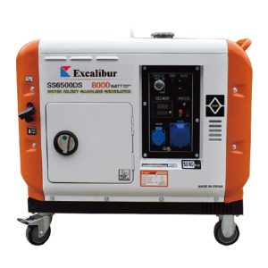 Quiet Gasoline Generator